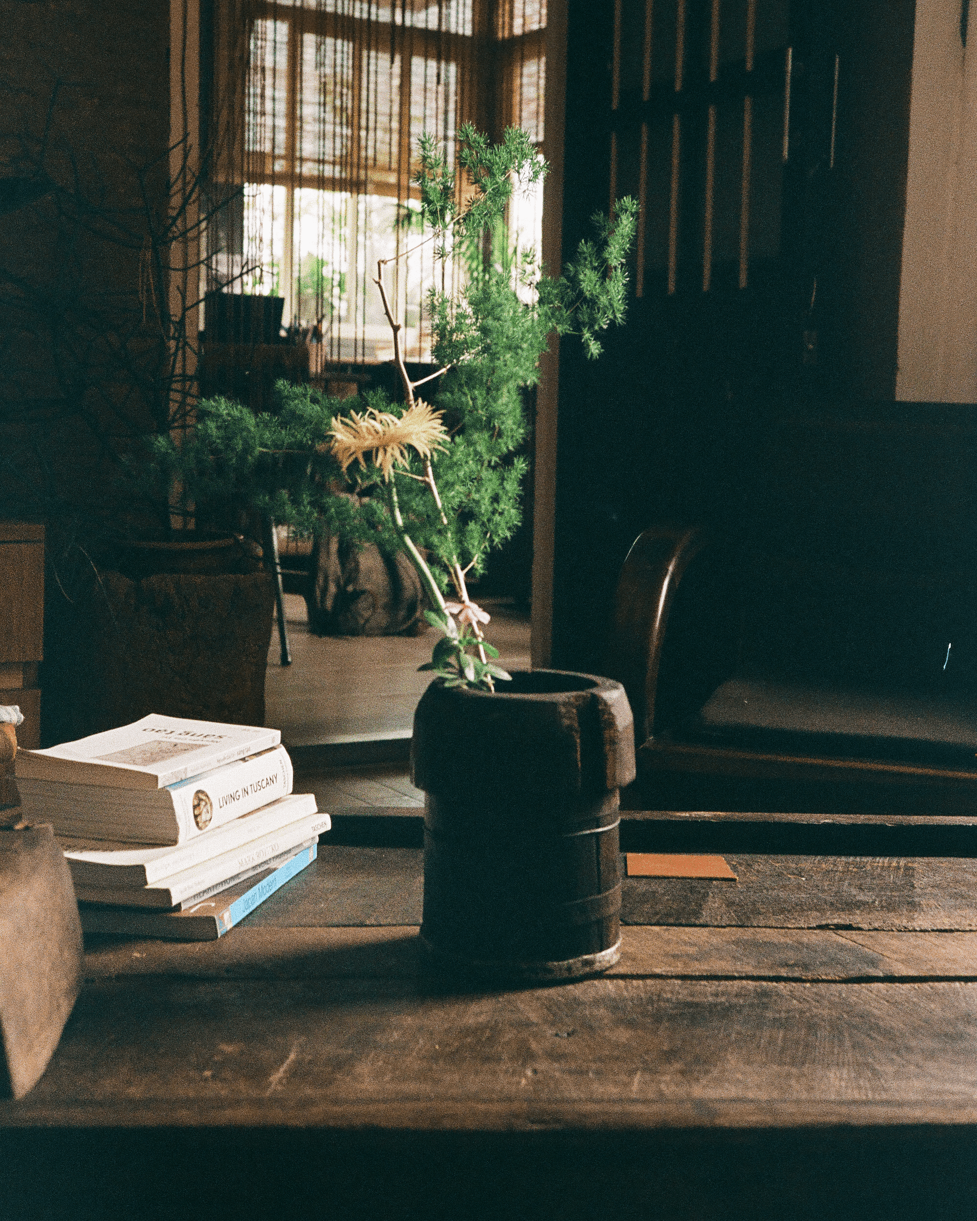 tôra studio